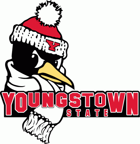 Youngstown State Penguins 1993-2005 Primary Logo iron on transfers for fabric